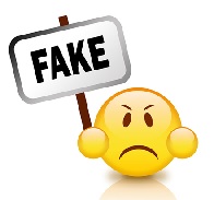 essaypro writer fake