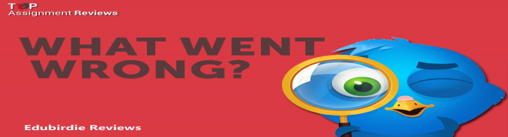 Edubirdie Scam: What Went Wrong for the Essay Writing Company?