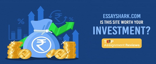Is Essayroo.com a Fraud Site? Here What the Students Say
